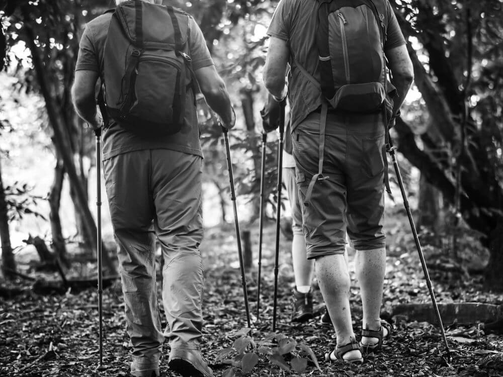 Nordic walking 4